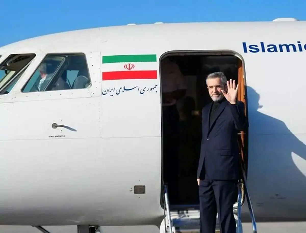 Iranian caretaker foreign minister leaves for D-8 meeting in Istanbul