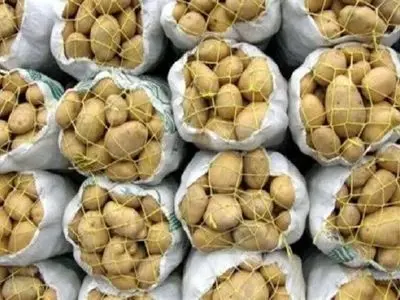 کاهشی شدن قیمت سیب زمینی در بازار آذربایجان شرقی/ توزیع ۲۰۰ تن سیب زمینی تنظیم بازار