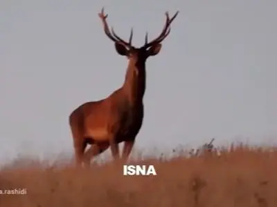 asdasd