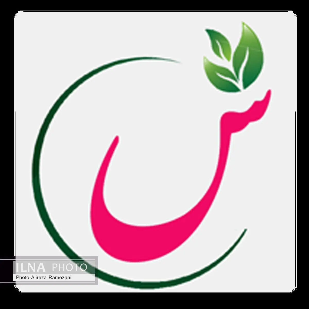 شبکه اجتماعی شاخه فعالیتش را آغاز کرد