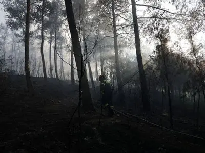۲ کشته در آتش‌سوزی جنگلی در شمال یونان