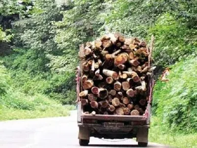 گزارش‌های دریافتی از تولید روزانه یک تن ذغال در «روستای چهار دِه» دزپارت/نگرانی از تشکیل کانون جدید تولید ذغال در شمال خوزستان