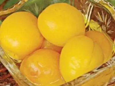 بهترین روش تهیه کمپوت خانگی زردآلو! بی نظیر و عالی