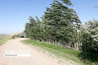 وزش باد شدید در شرق کشور 