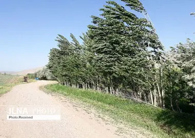 وزش باد شدید در شرق کشور 