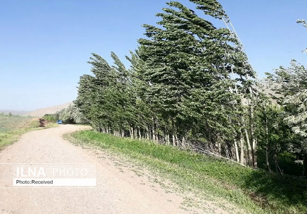 پیش‌بینی وزش بادهای شمالی برای استان قزوین