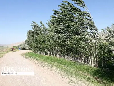 وزش باد تا عصر فردا مناطق جنوبی و مرکز اردبیل را در برمیگیرد
