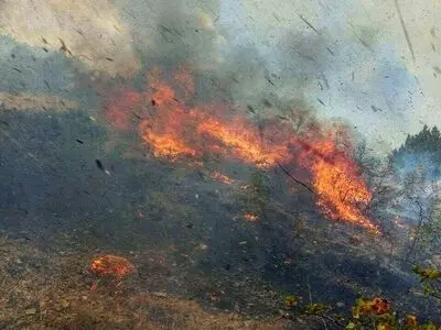 تلف شدن تعدادی از پرندگان و خزندگان بر اثر حریق در جنگل‌های قره‌داغ/آتش‌سوزی در ارسباران براساس اخبار دریافتی عمدی بوده است