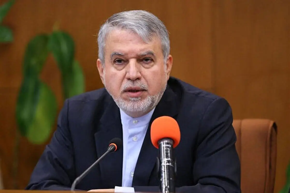 صالحی امیری: دولت در مورد شرکت نکردن در انتخابات کمیته هیچ صحبتی با من نکرده است