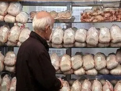 خرید بیش از 35 هزار تن گوشت مرغ تولید داخلی توسط شرکت پشتیبانی امور دام کشور