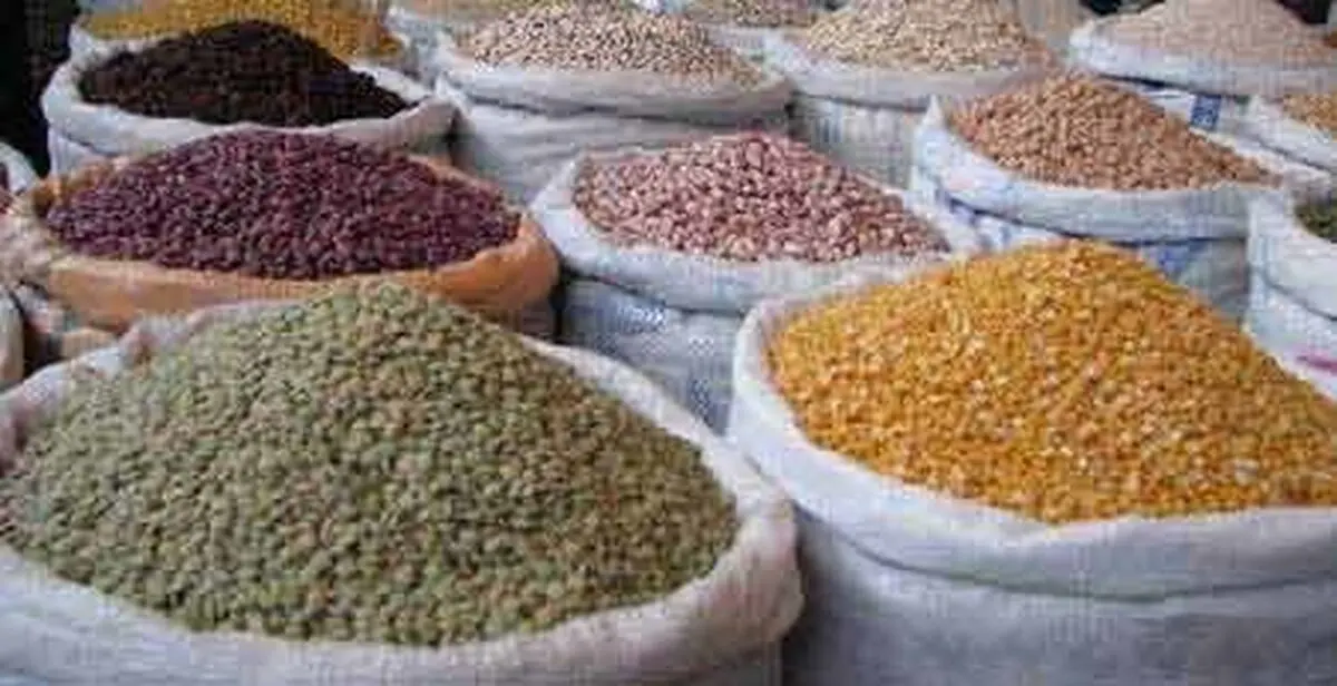 افزایش قیمت برنج و حبوبات با شیوع ویروس کرونا در لرستان 