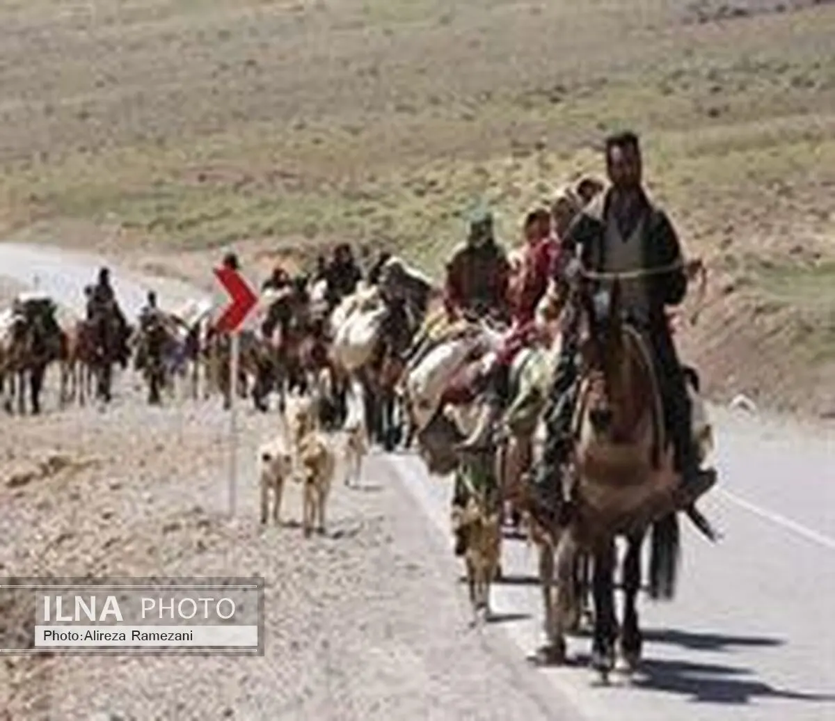 کمبود علوفه علت کوچ زود هنگام عشایر کنارک

