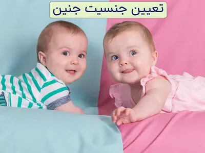 برای تعیین جنسیت جنین باید چه کار کنیم؟