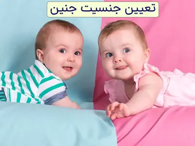 asdasd