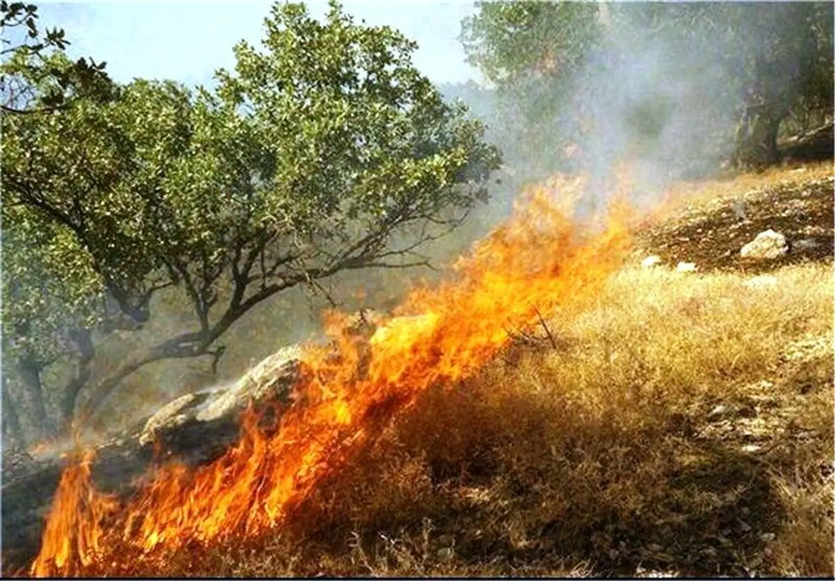 شعلههای آتش همچنان موگرمون لنده را می سوزاند