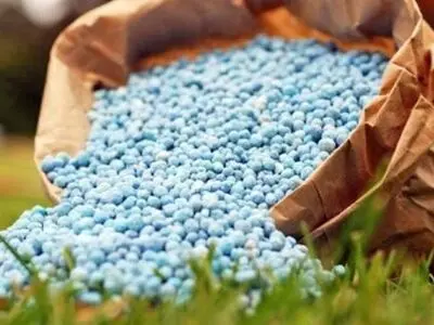 توزیع ۳۷ هزار تن کود کشاورزی در مازندران