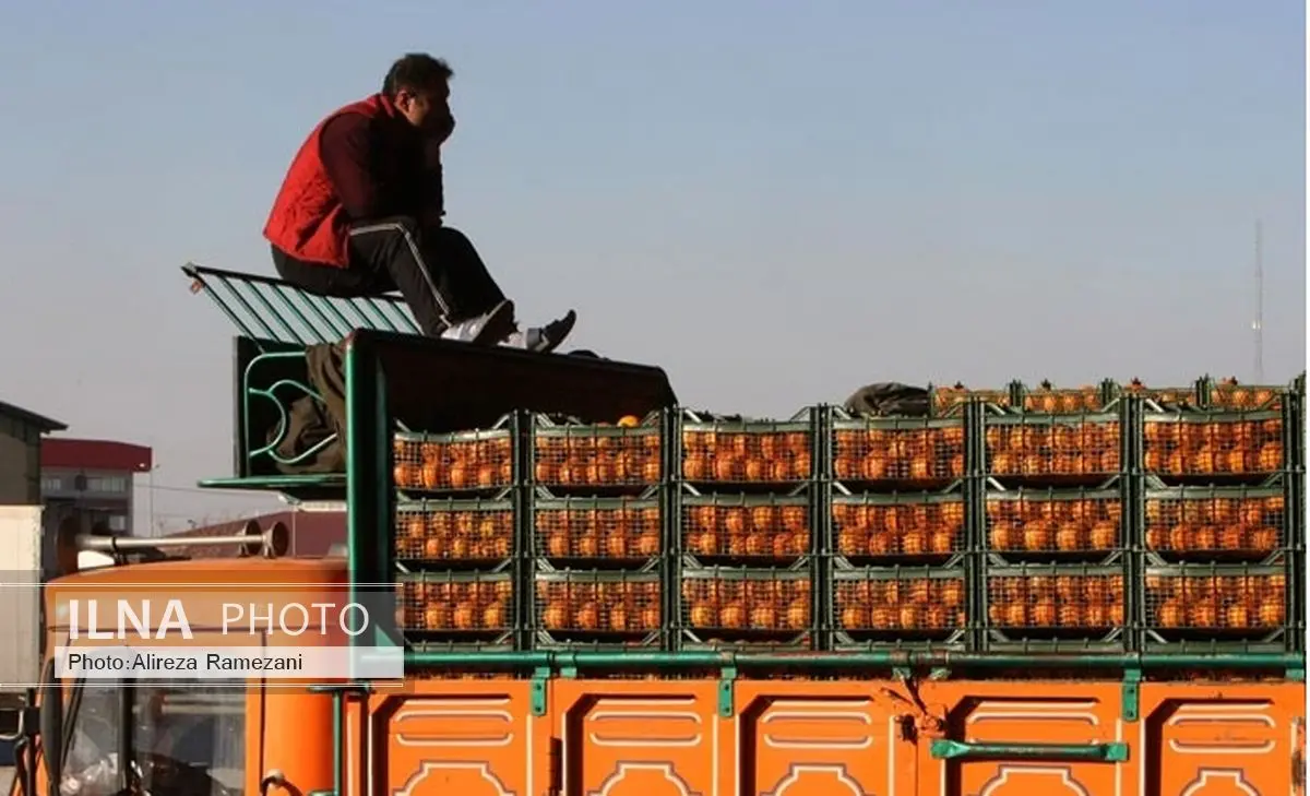 وفور پرتقال و سیب در بازار شب عید