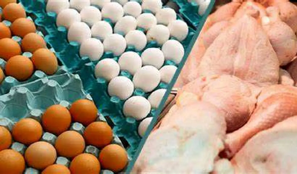 ٣٠ درصد بیش از نیاز کشور توان عرضه مرغ و تخم مرغ به بازار را داریم
