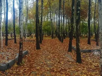 روشن کردن آتش در ناژوان نفس شهر را می‌گیرد/ تشدید آلودگی هوای اصفهان با به آتش کشیدن ناژوان