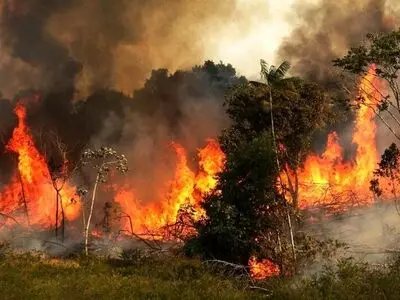 پیشگیری آتش‌سوزی در 120 هزار هکتار از جنگل‌های شهرستان دهلران