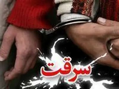 انهدام باند سارقان حرفه ای در فردیس