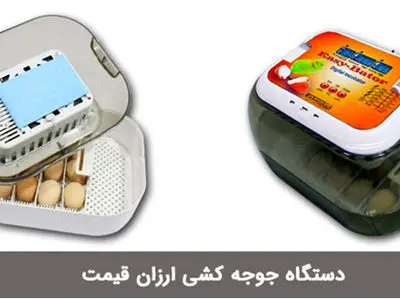 دستگاه جوجه‌کشی وسیله‌ای برای تفریح خانواده‌ها