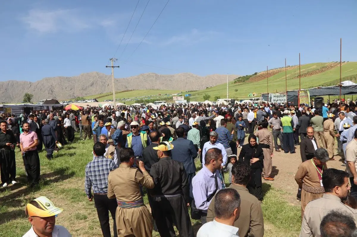 برگزاری جشنواره ملی نخود گامی موثر در بهبود رشد تولید نخود کشور /  از نمایندگان استان و مسئولان کشوری گلایه‌مندیم