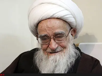 انتقاد آیت الله صافی گلپایگانی از مخالفت‌ها با برجام/ عده‌ای در کار دولت اخلال می‌کنند