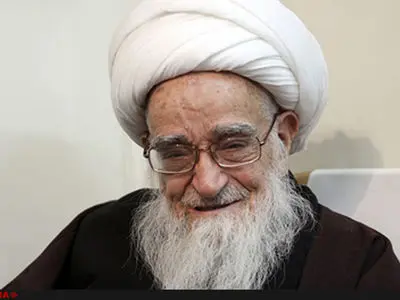 انتقاد آیت الله صافی گلپایگانی از مخالفت‌ها با برجام/ عده‌ای در کار دولت اخلال می‌کنند