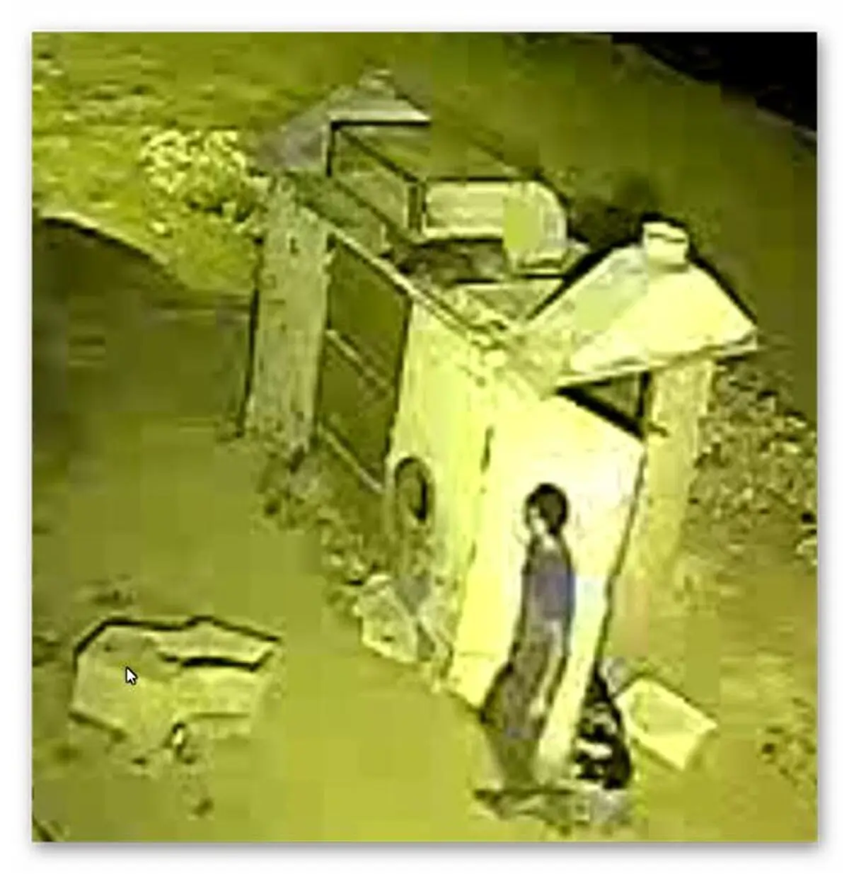 قاتل را شناسایی کنید 