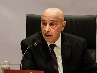 اگر ضرورت اقتضا کند، خواستار مداخله نظامی مصر می‌شویم