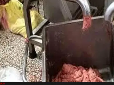مدیر خط تولید مانع بازدید خبرنگاران از مراحل تولید ناگت و کالباس شد!