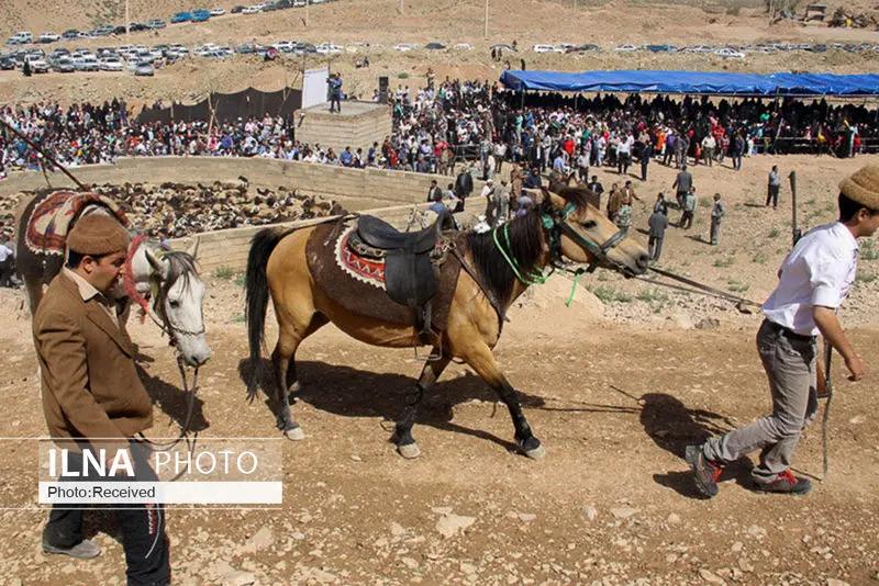 گالری