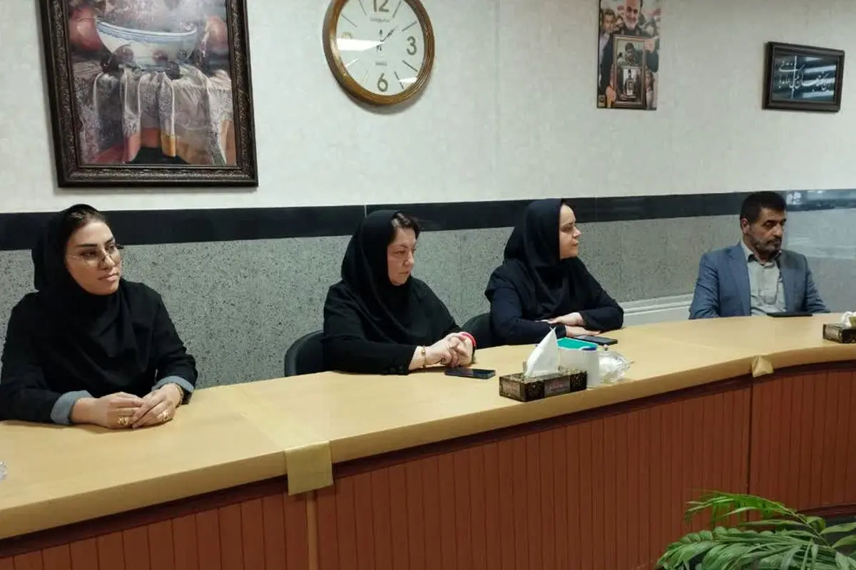 بازرسان خانه مطبوعات قزوین از روند بیمه صندوق هنر گلایه کردند