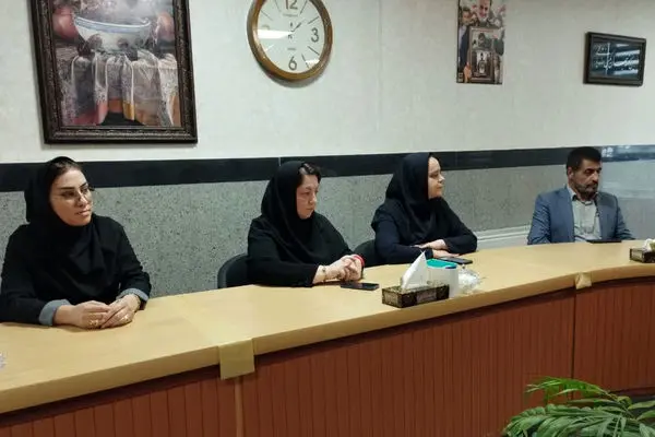 بازرسان خانه مطبوعات قزوین از روند بیمه صندوق هنر گلایه کردند