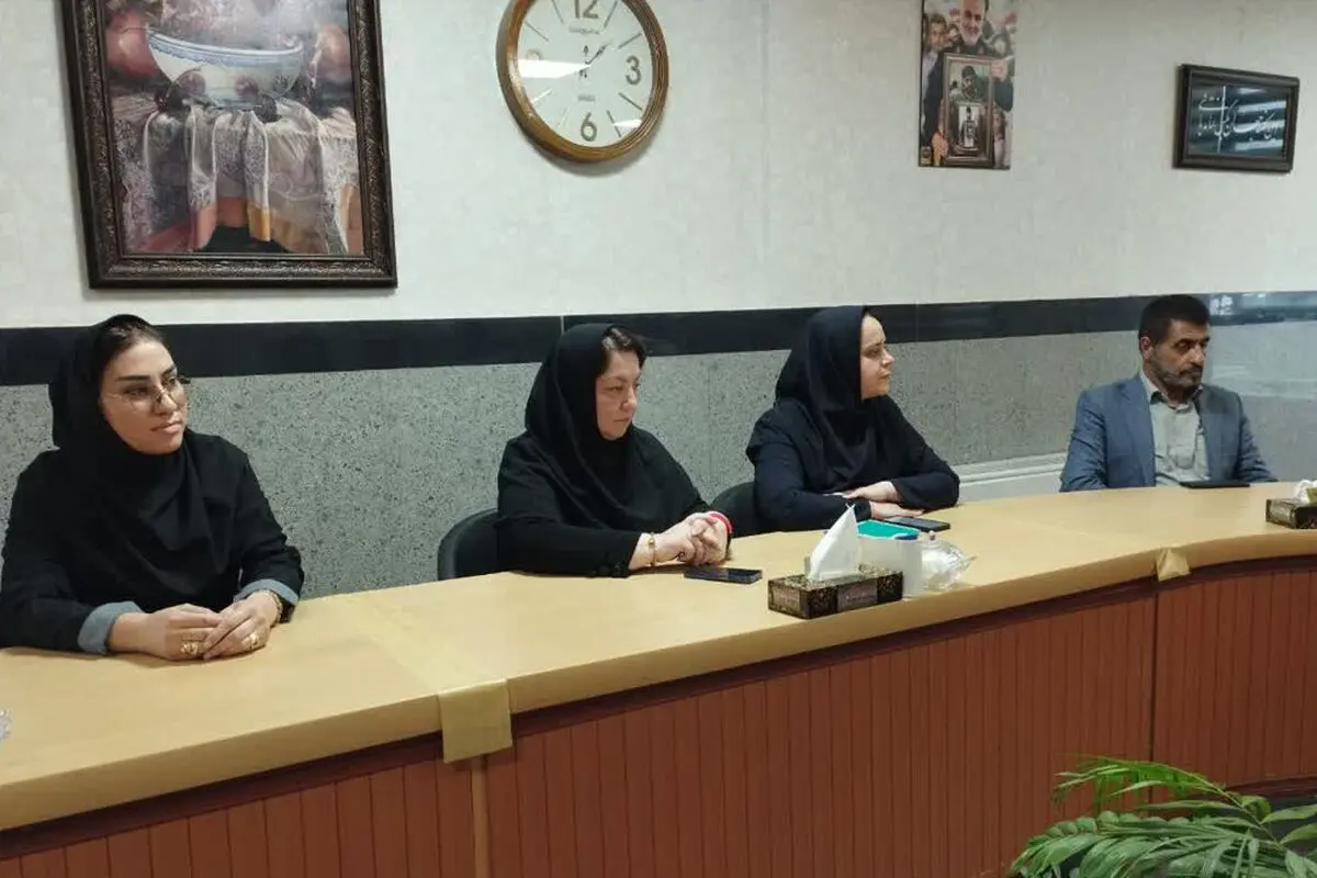 بازرسان خانه مطبوعات قزوین از روند بیمه صندوق هنر گلایه کردند