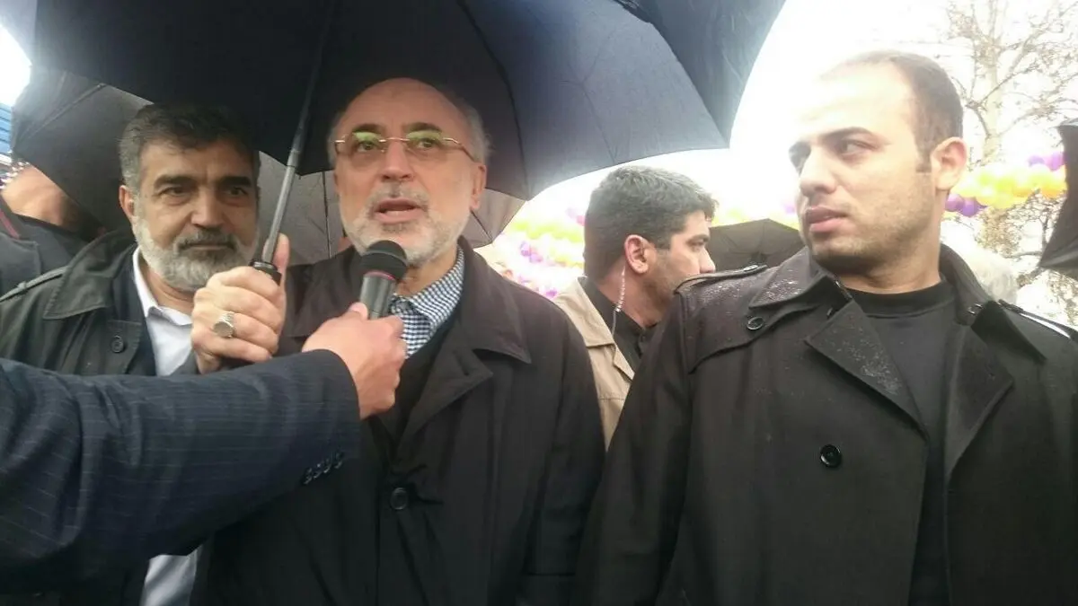 علی اکبر صالحی در جمع راهپیمایان ۲۲ بهمن حاضر شد