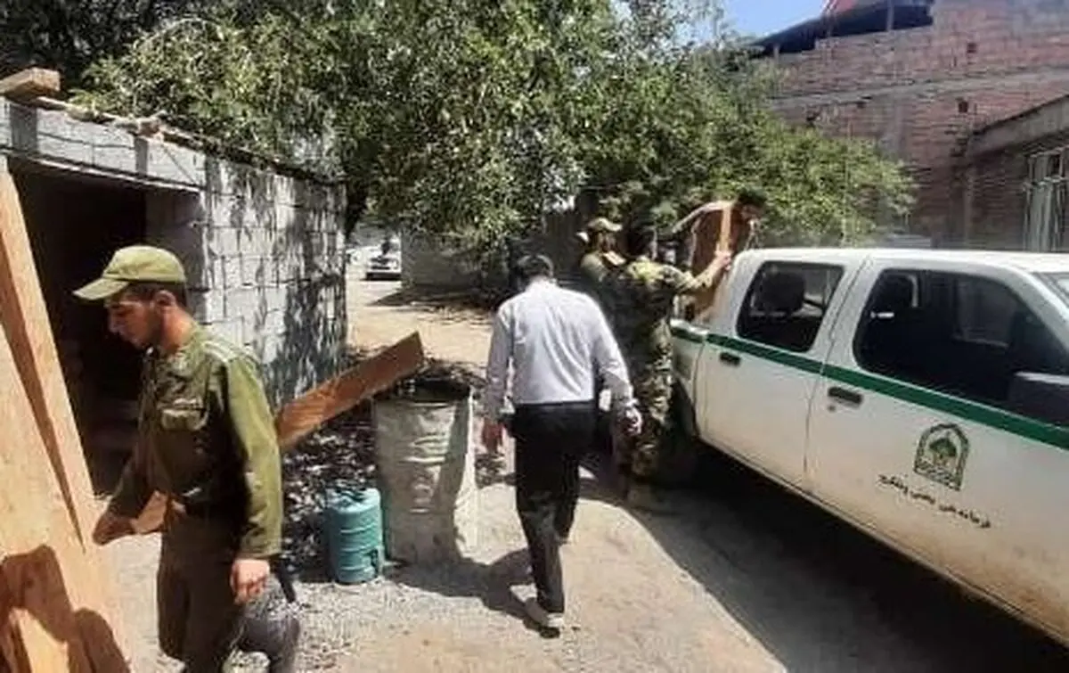 کشف 92 اصله الوار قاچاق جنگلی در استان اردبیل 