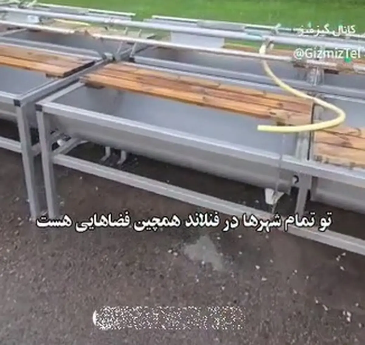 قالیشویی به سبک فنلاندی ها + فیلم
