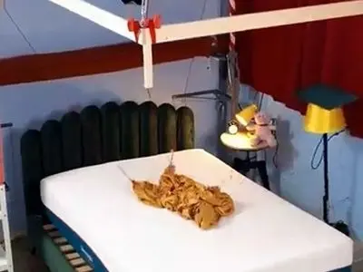 asdasd