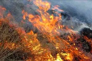 مهار آتش سوزی در دره گنج نامه همدان