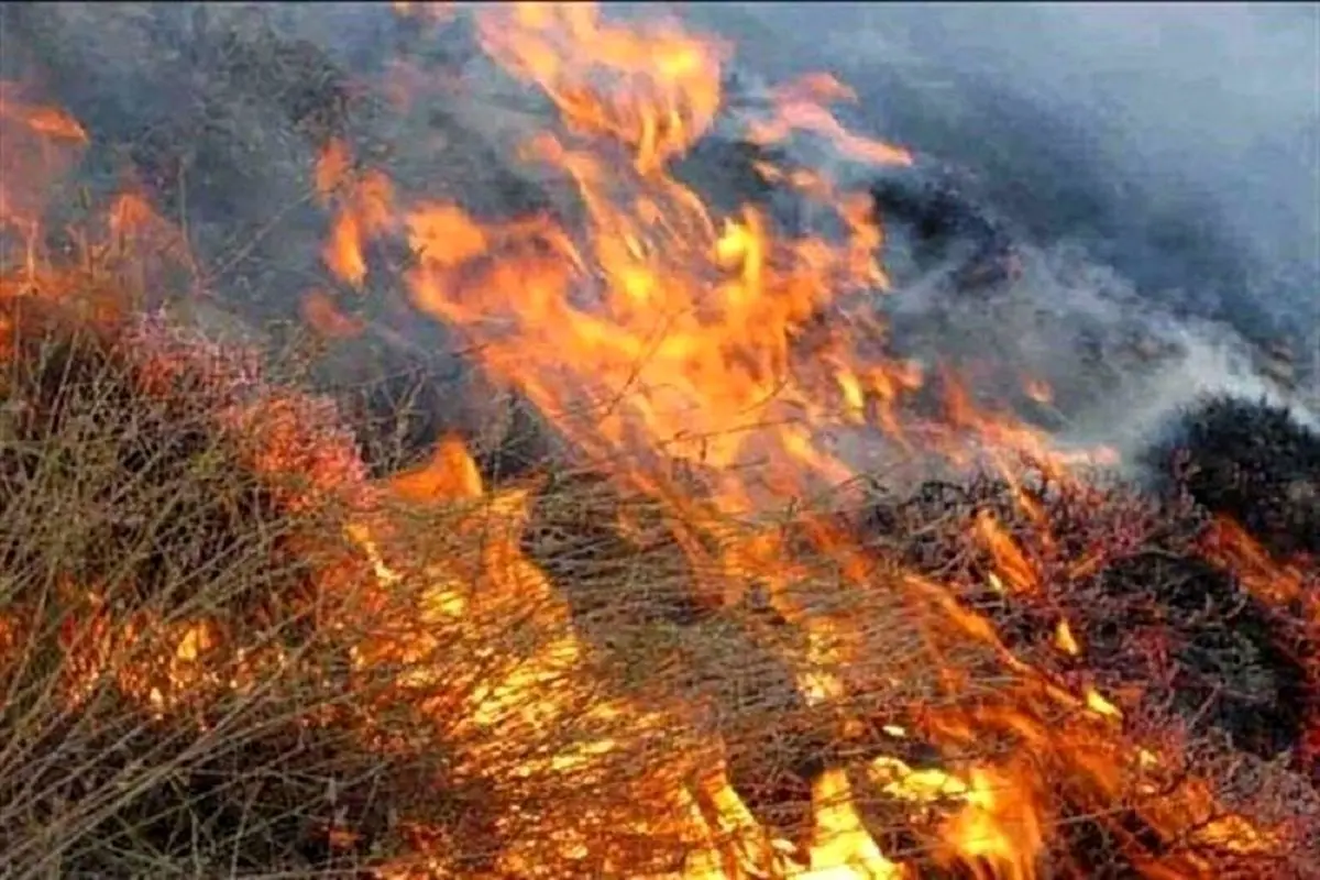10 هکتار از مراتع کاماسار قزوین طعمۀ حریق شد