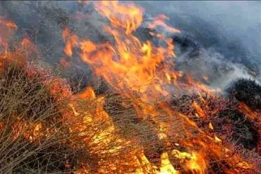 آتش‌سوزی مراتع ساوجبلاغ با همکاری نیروهای امدادی و مردمی مهار شد