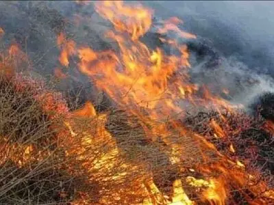 ۱۸۰ هکتار از مراتع قزوین به دلیل‌ حریق از بین رفته است