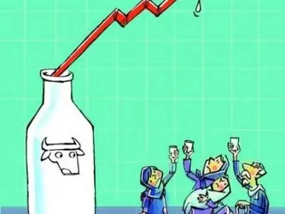 افزایش 260 درصدی قیمت شیر 
