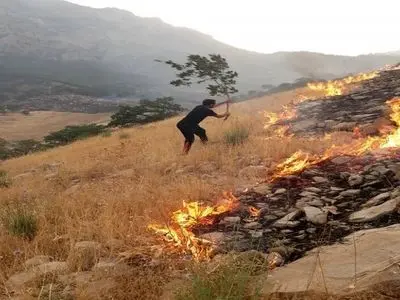 آتش در حال فتحِ جنگل های باشت است / امکانات برای مهار آتش بسیار ناچیز است 