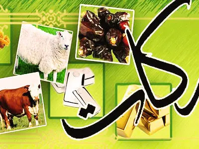 کسب رتبه سوم سمنان در پرداخت زکات