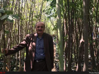 خشونت در سینمای ایران بیداد می‌کند/کارتون‌های والت‌دیزنی لبریز از مصادیق خشونت است/باید خشونت را به نفع کودک، سانسور کرد