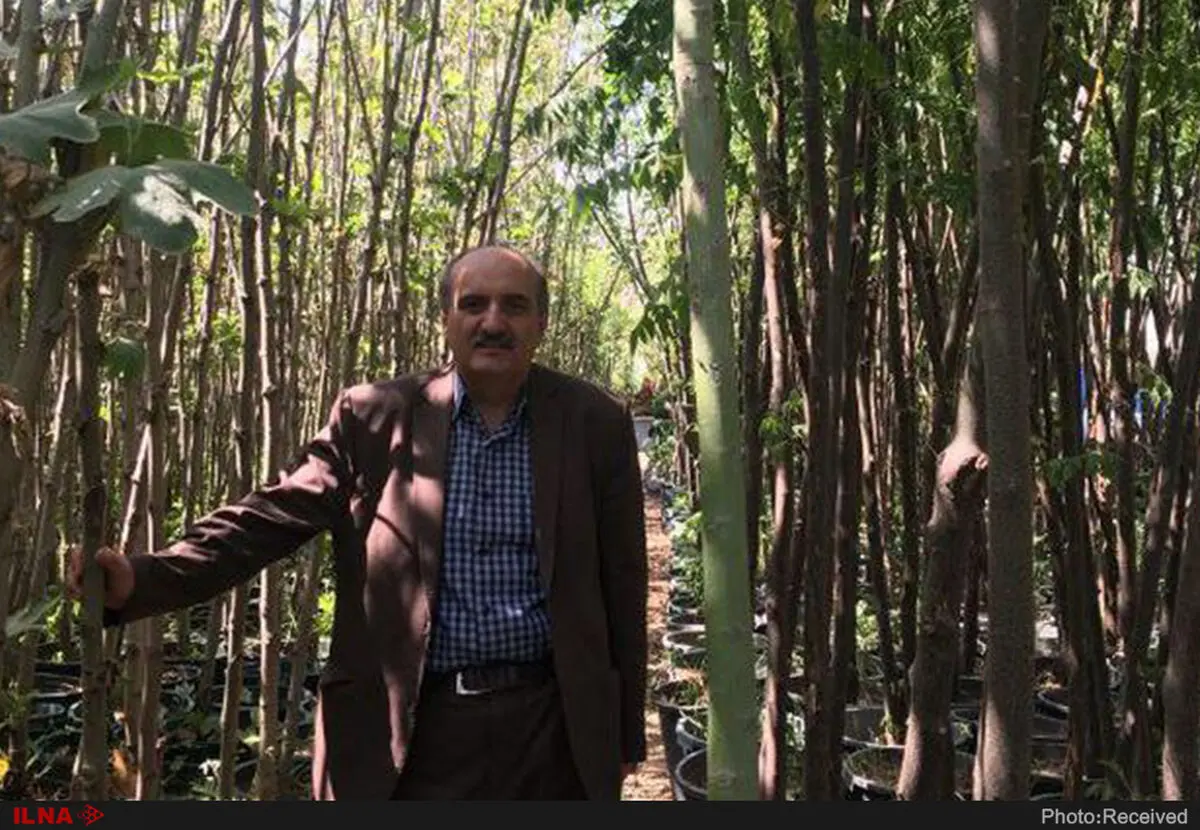 خشونت در سینمای ایران بیداد می‌کند/کارتون‌های والت‌دیزنی لبریز از مصادیق خشونت است/باید خشونت را به نفع کودک، سانسور کرد