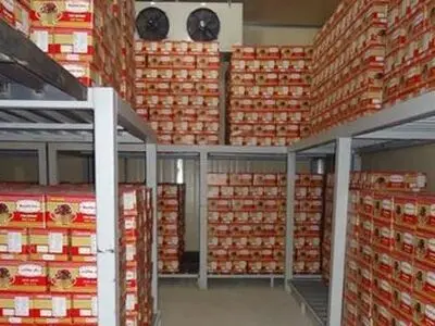 ارائه تسهیلات به سردخانه داران آذربایجان غربی برای استقرار واحد سورتینگ و بسته بندی میوه 